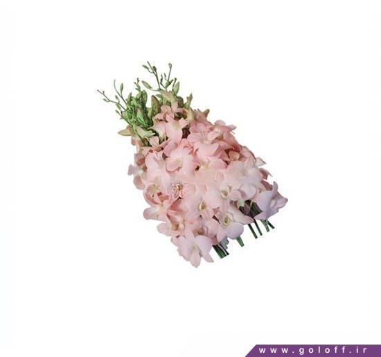 گل هدیه تولد، ارکیده دندروبیوم پینکی پیچ - Dendrobium Orchids | گل آف
